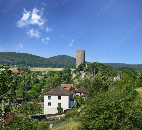 Ruins of a medieval castle Zebrak, Czech Republic photo