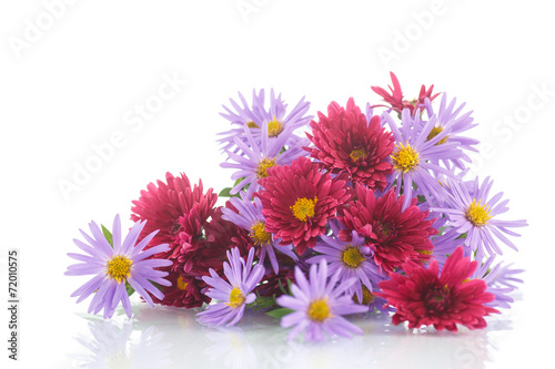 bouquet of lilac chrysanthemums