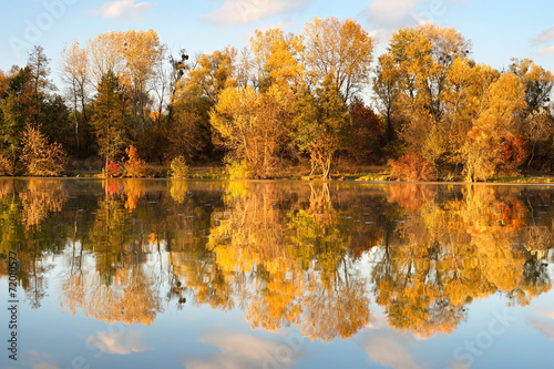 Fall, forest, lake