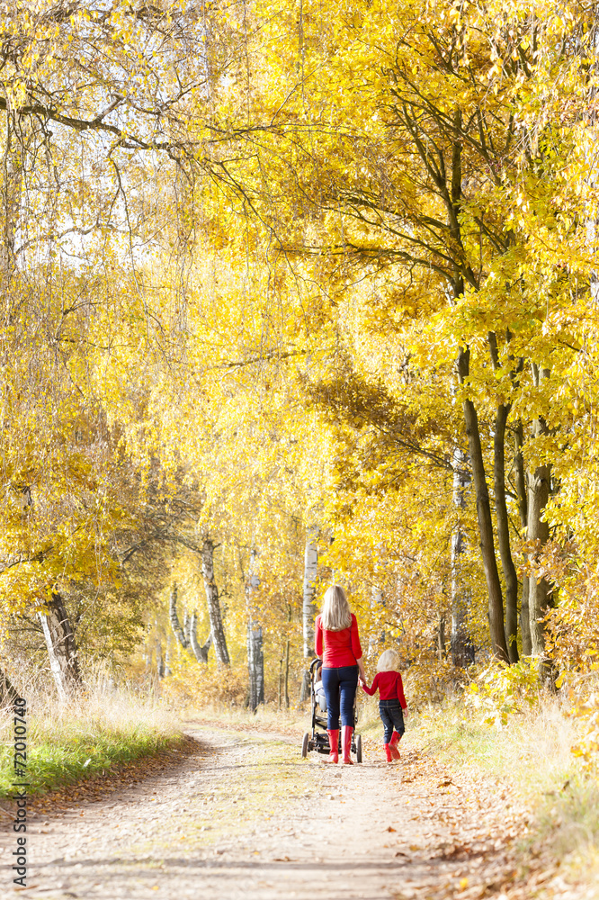 mother and her daughter with a pram on walk in autumnal alley