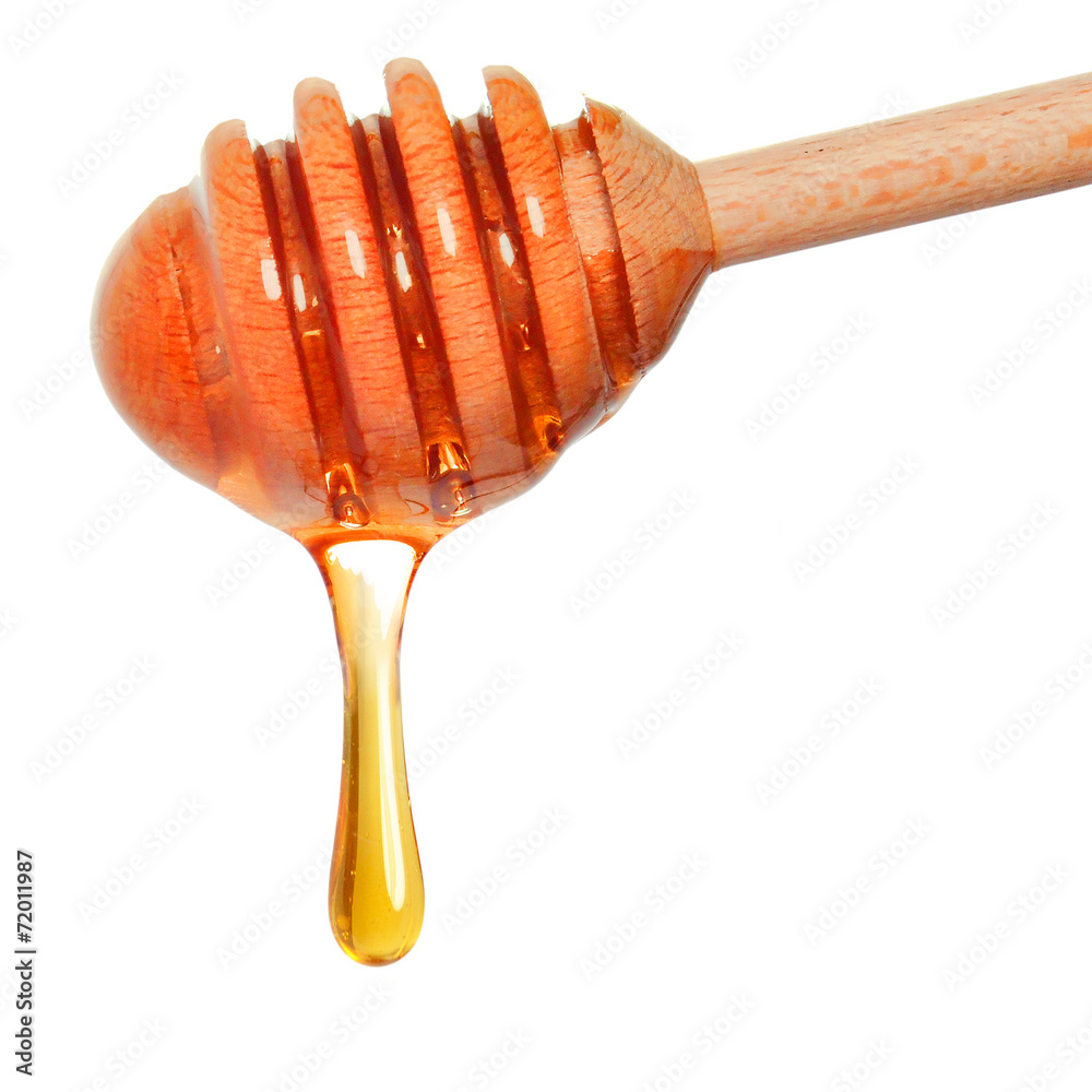 honey honey