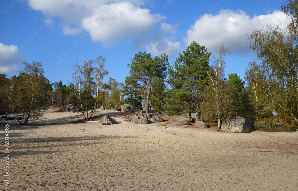 Mer de sable - Paysage de Fontainebleau