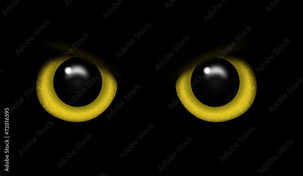 Eyes of a wild animal in the darkness vector