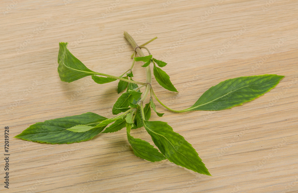 Bergamot leaves Bergamot leaves