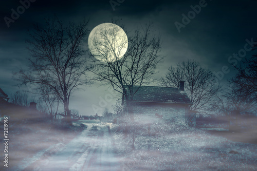 Spooky scene of haunted house and moon photo