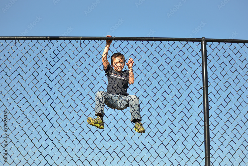 Obraz premium Fence Climb