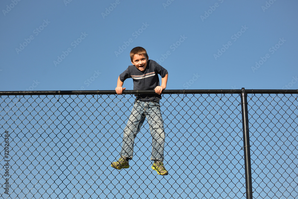 Obraz premium Over The Fence