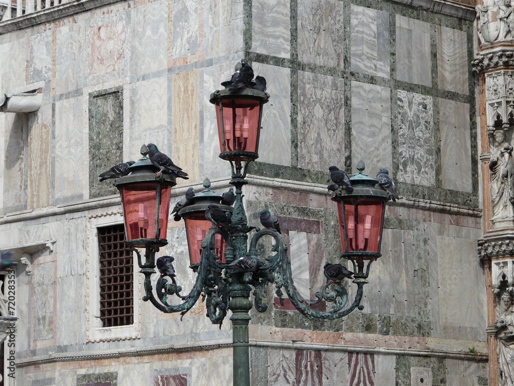 Tauben auf Straßenlaterne auf Markusplatz in Venedig Tauben auf Straßenlaterne auf Markusplatz in Venedig