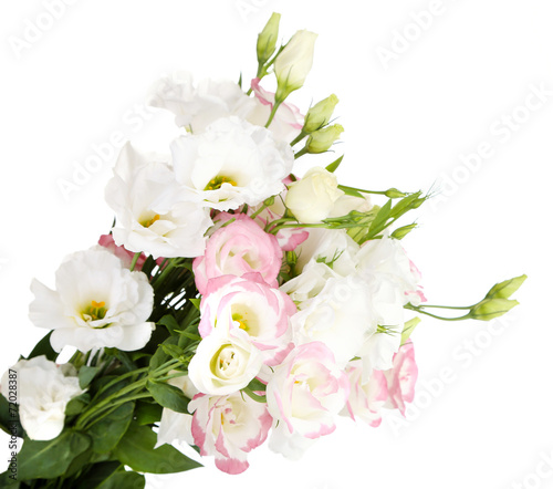 Beautiful eustoma flowers, isolated on white