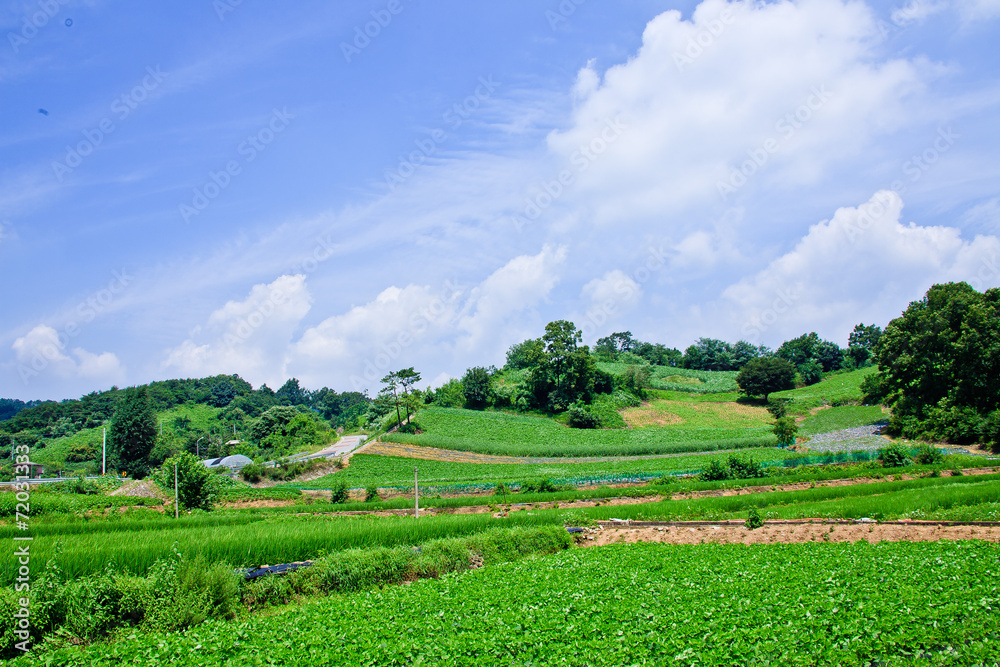 Obraz premium 제천의 풍경