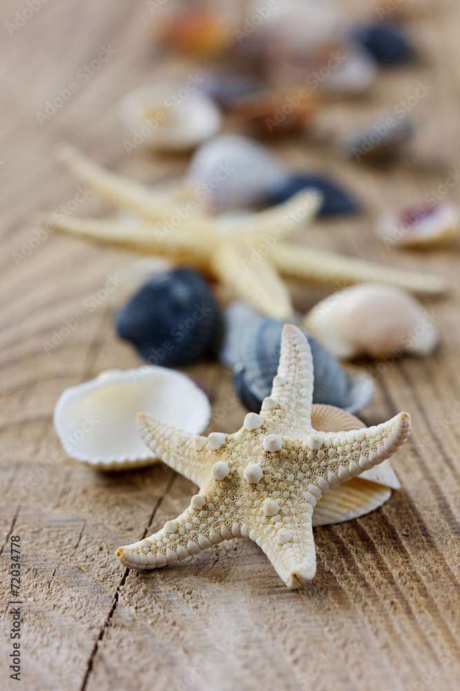 Starfish and seashells on a wooden rustic board Starfish and seashells on a wooden rustic board