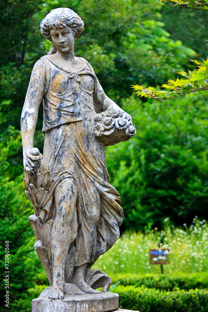 Fototapeta premium 허브나라