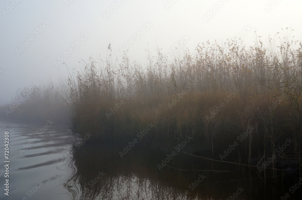 Fototapeta premium озеро