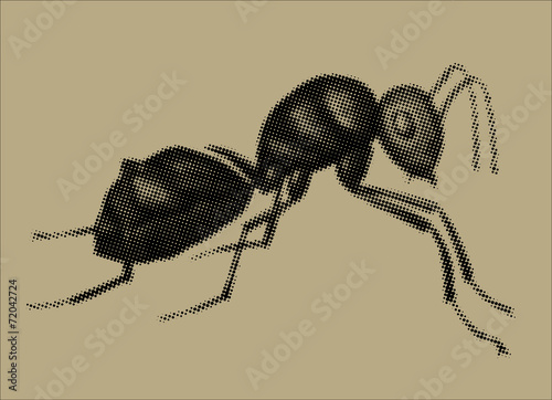 A raster illustration of an ant