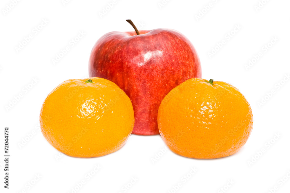 selection of citruses selection of citruses