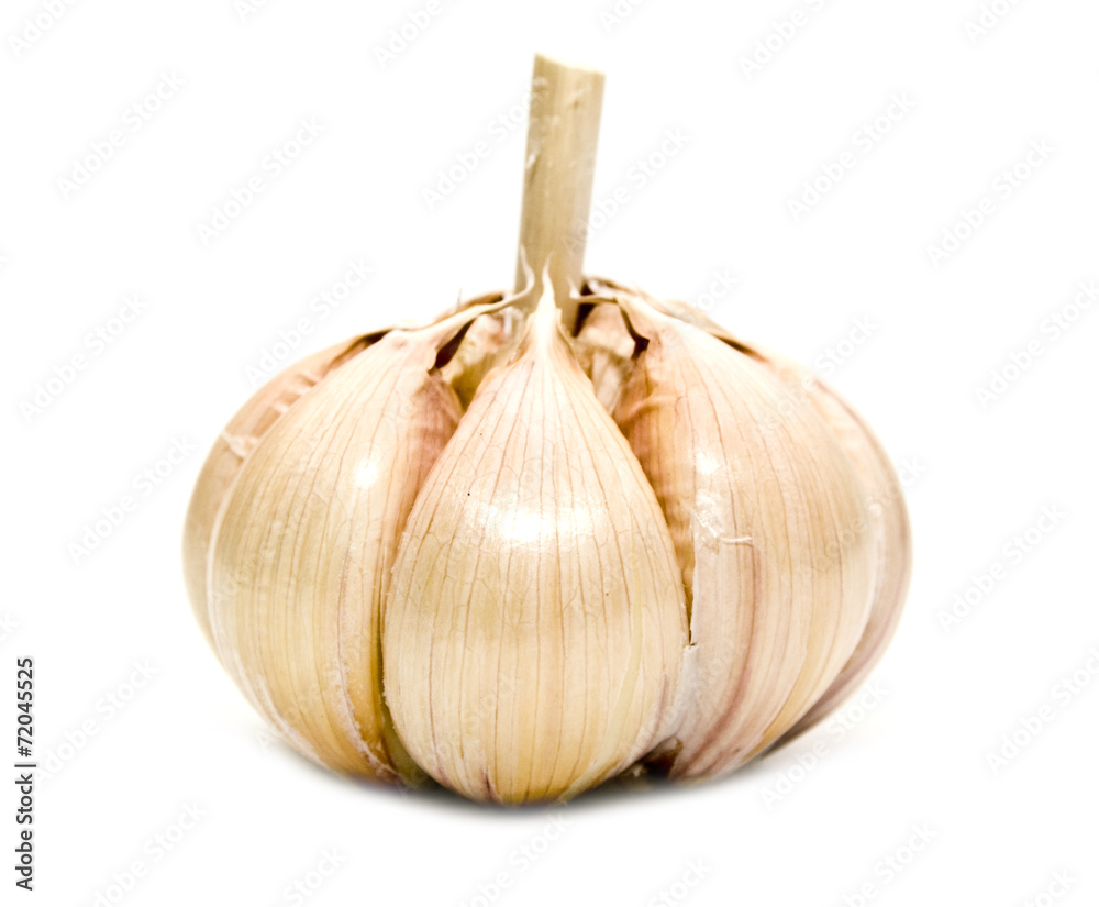 Obraz premium garlic