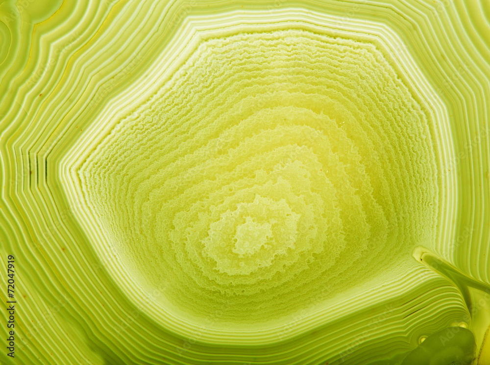 Obraz premium zielone tło struktury agat schistose