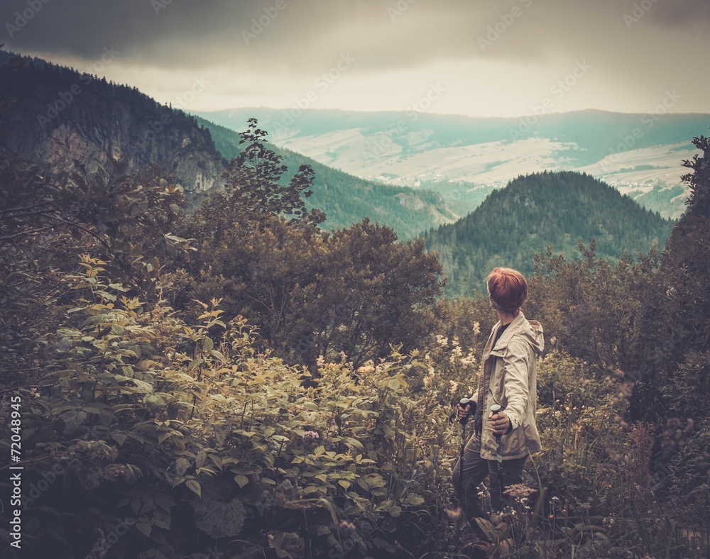 Fototapeta premium Woman with hiking equipment walking in mountain forest