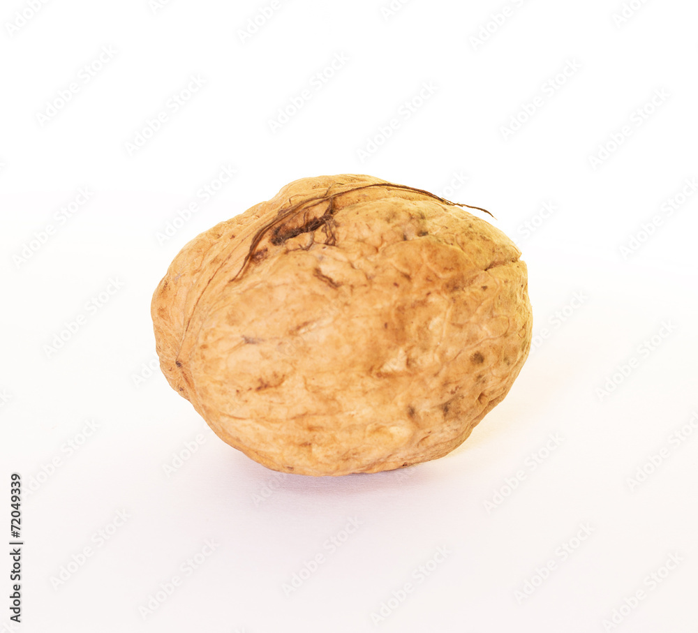 Dried walnut isolated on white background