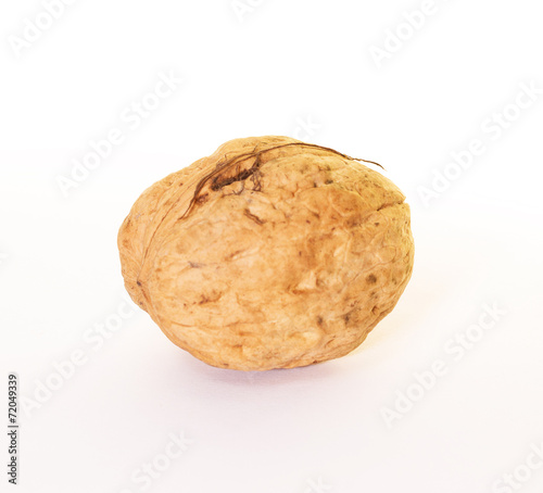 Obraz na płótnie Dried walnut isolated on white background w salonie