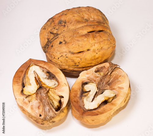 Obraz na płótnie Walnut isolated on white background w salonie