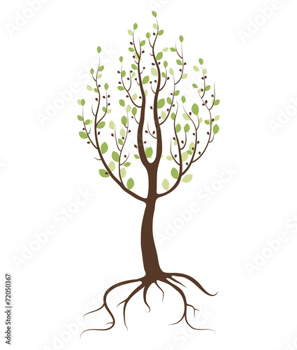 Single tree on white background