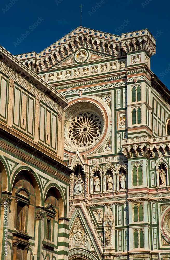 Fototapeta premium Cathedral of Santa Maria del Fiore (Duomo), Florence, Italy