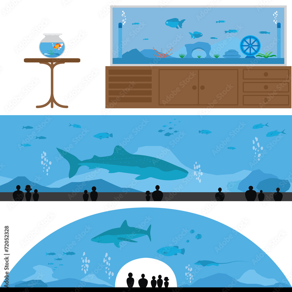 Fototapeta premium Set of Fish Tank and Aquarium Landscape