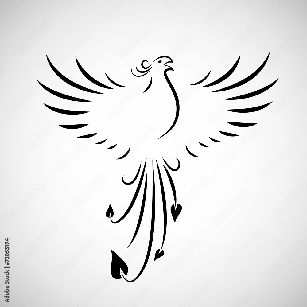 Obraz premium phoenix schreit