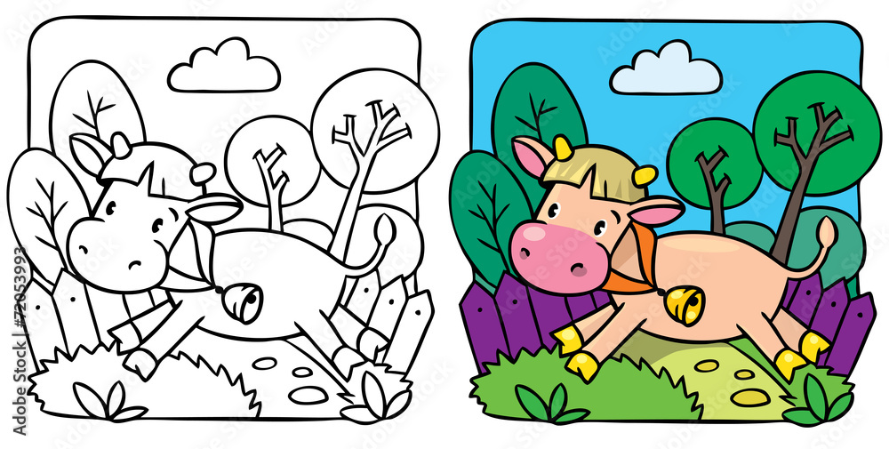 Fototapeta premium Little cow or calf coloring book