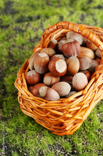 Hazelnuts in wicker basket, on green grass background