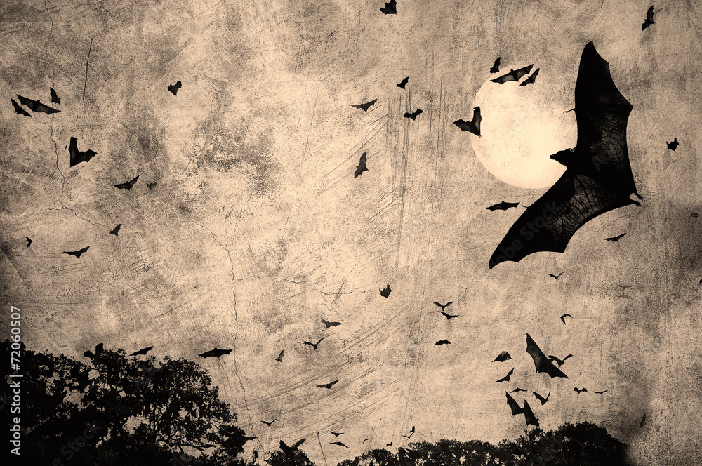 Fototapeta premium halloween background