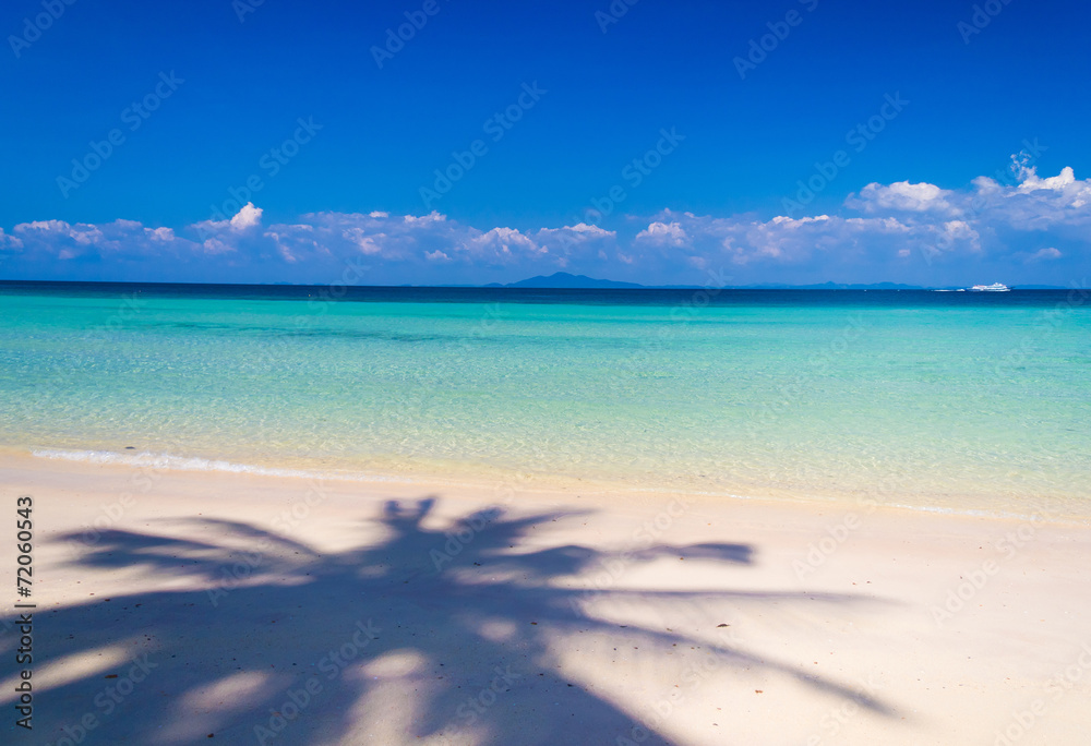 On a Beach White Sand On a Beach White Sand