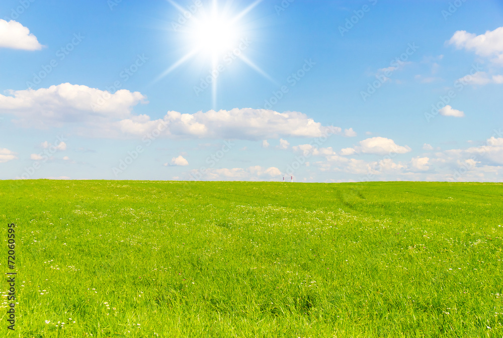 Grass Outdoor Sunlit Landscape
