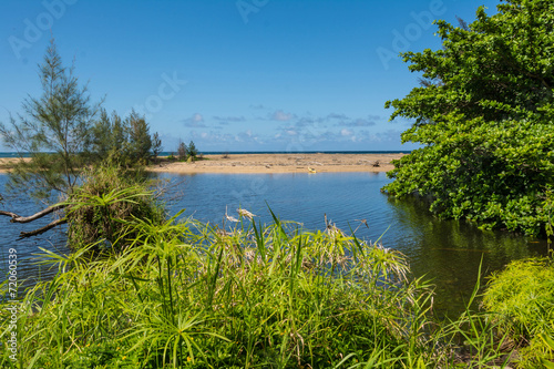 The beach and the vegetation in Kauai, Hawaii
