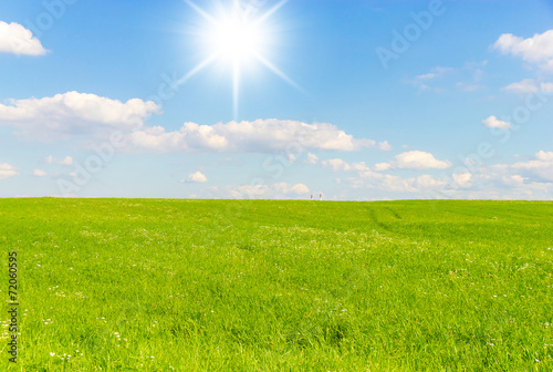 Grass Outdoor Sunlit Landscape