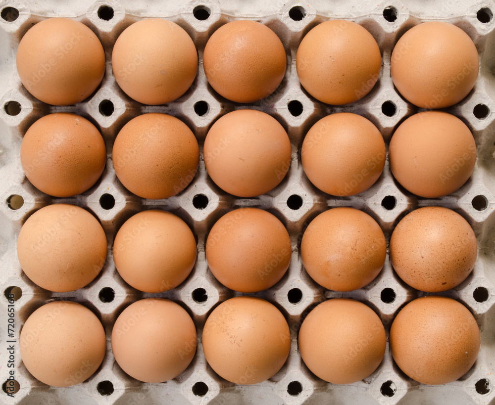 eggs on cardboard
