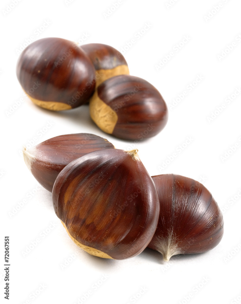 chestnuts on white background chestnuts on white background