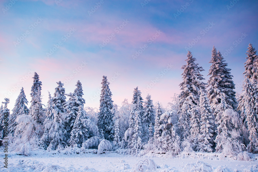 Obraz premium magical winter