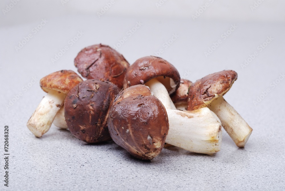 Fresh bolete mushrooms background