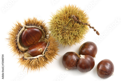 organic chestnuts on white
