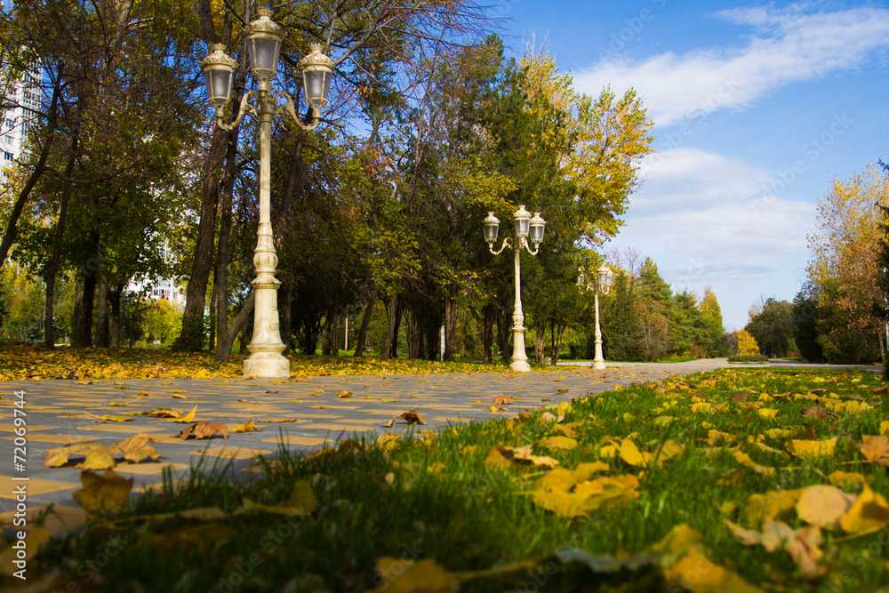 Obraz premium Autumn city park - Stock photos