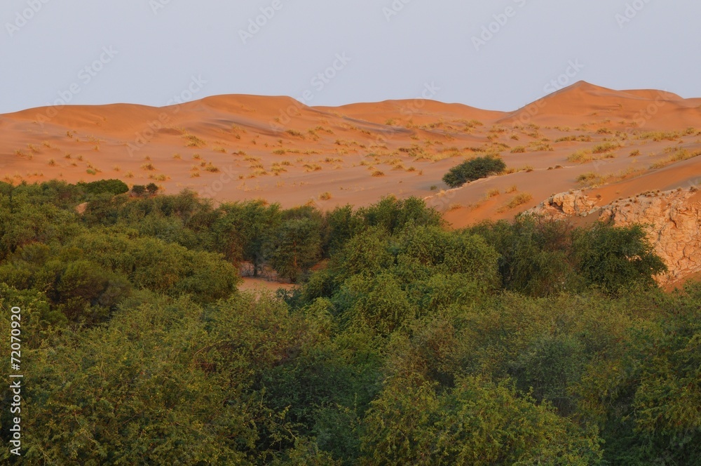 Kuiseb-Flussbett mit den Dünen der Namib