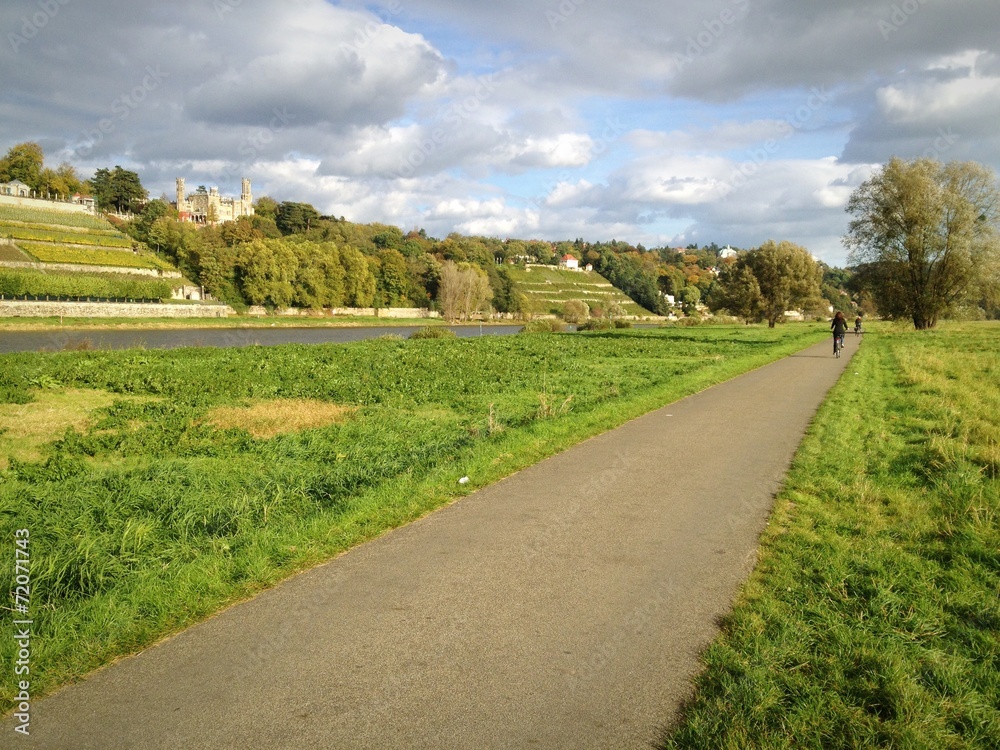 Elberadweg in Dresden