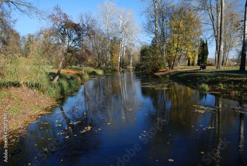 Obraz na płótnie Autumn landscape with trees, leaf and a river w salonie