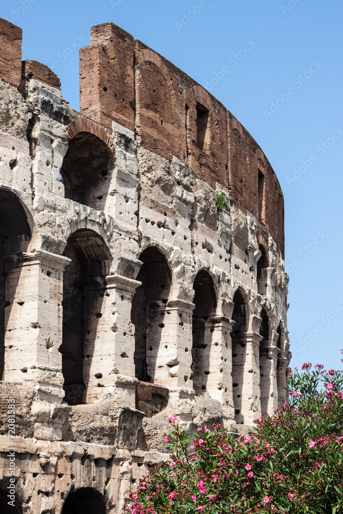 Colosseum in Rome, Italy