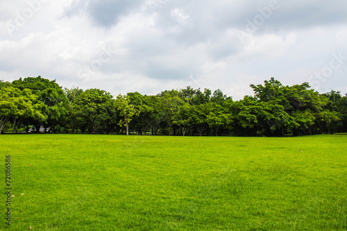 Natural lawn