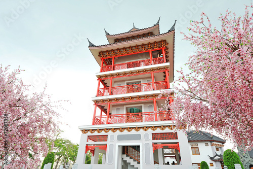Red Building and Sakura flowers