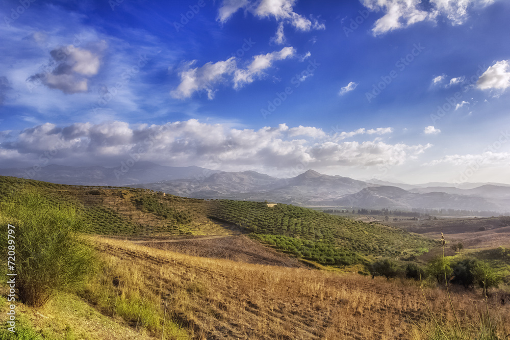 panorama of fields and olive groves in Sicily