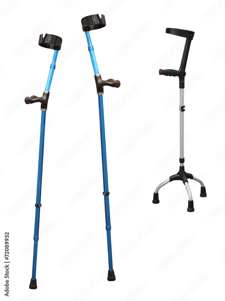 walkingstick walkingstick